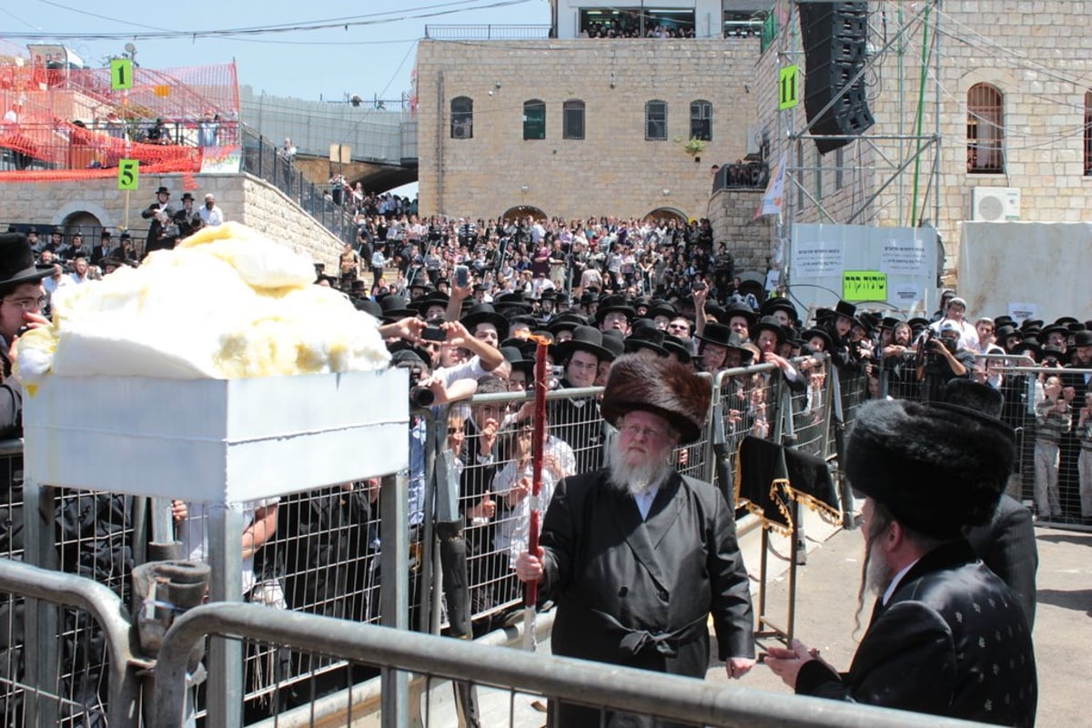 חלאקה, שרב, וח"י רוטל • מירון בוערת משמחה; צפו