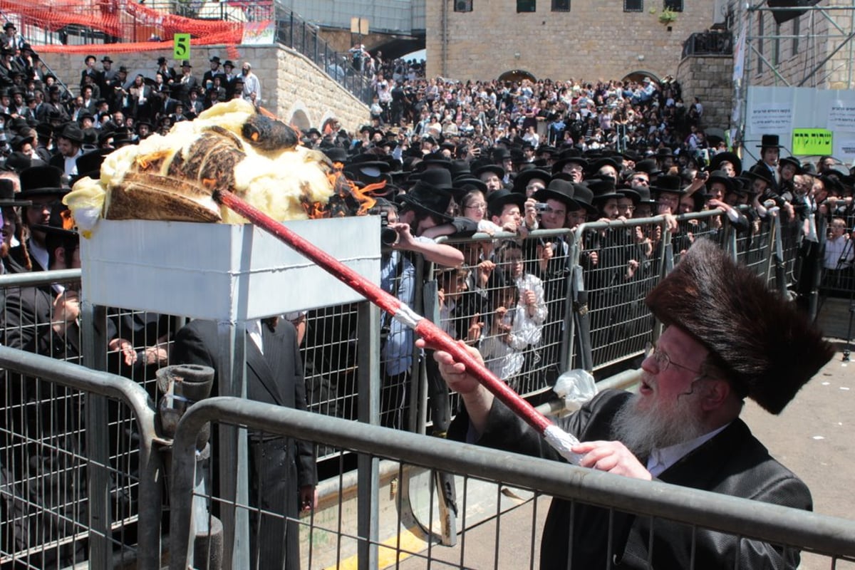 חלאקה, שרב, וח"י רוטל • מירון בוערת משמחה; צפו