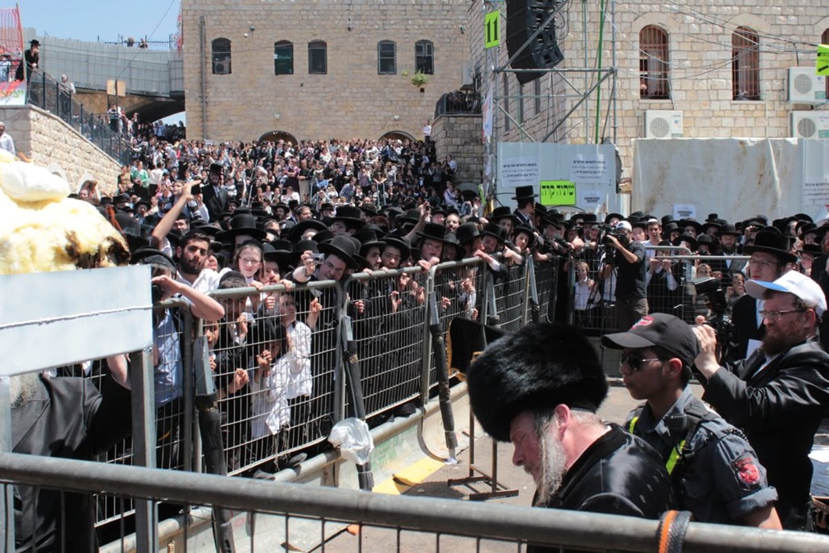 חלאקה, שרב, וח"י רוטל • מירון בוערת משמחה; צפו