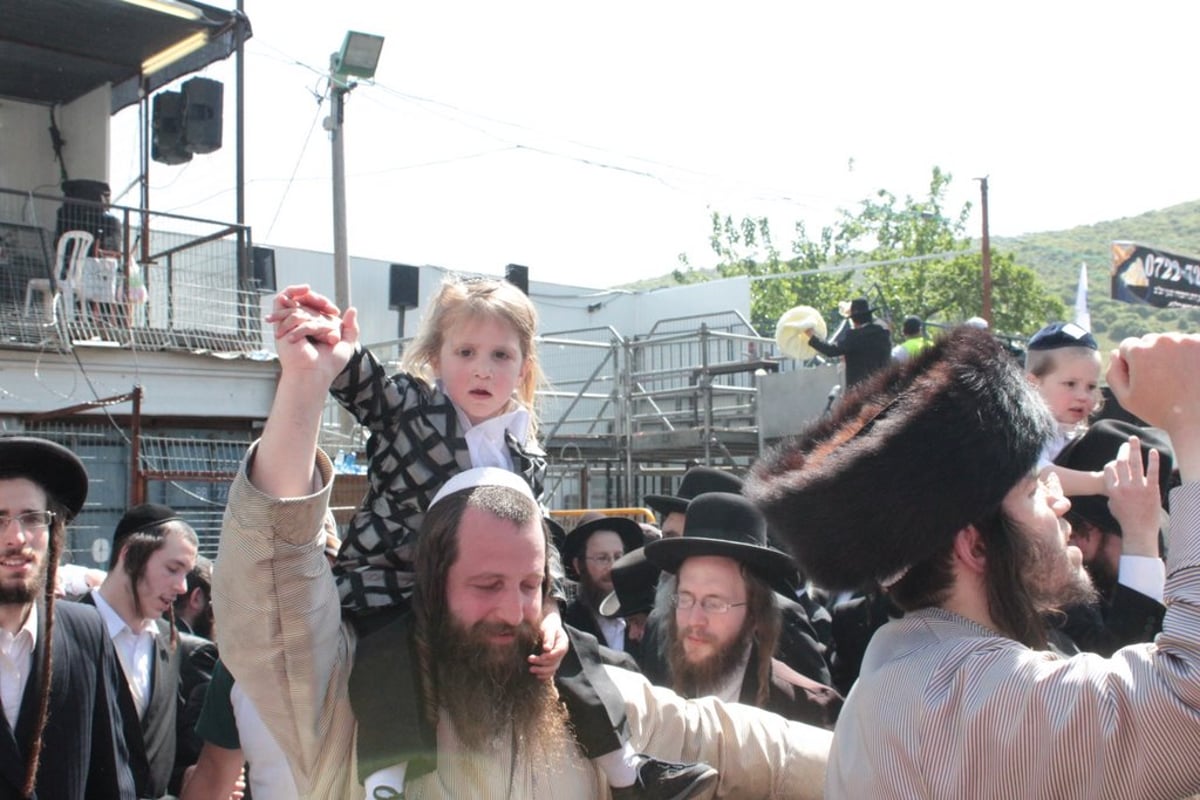 חלאקה, שרב, וח"י רוטל • מירון בוערת משמחה; צפו