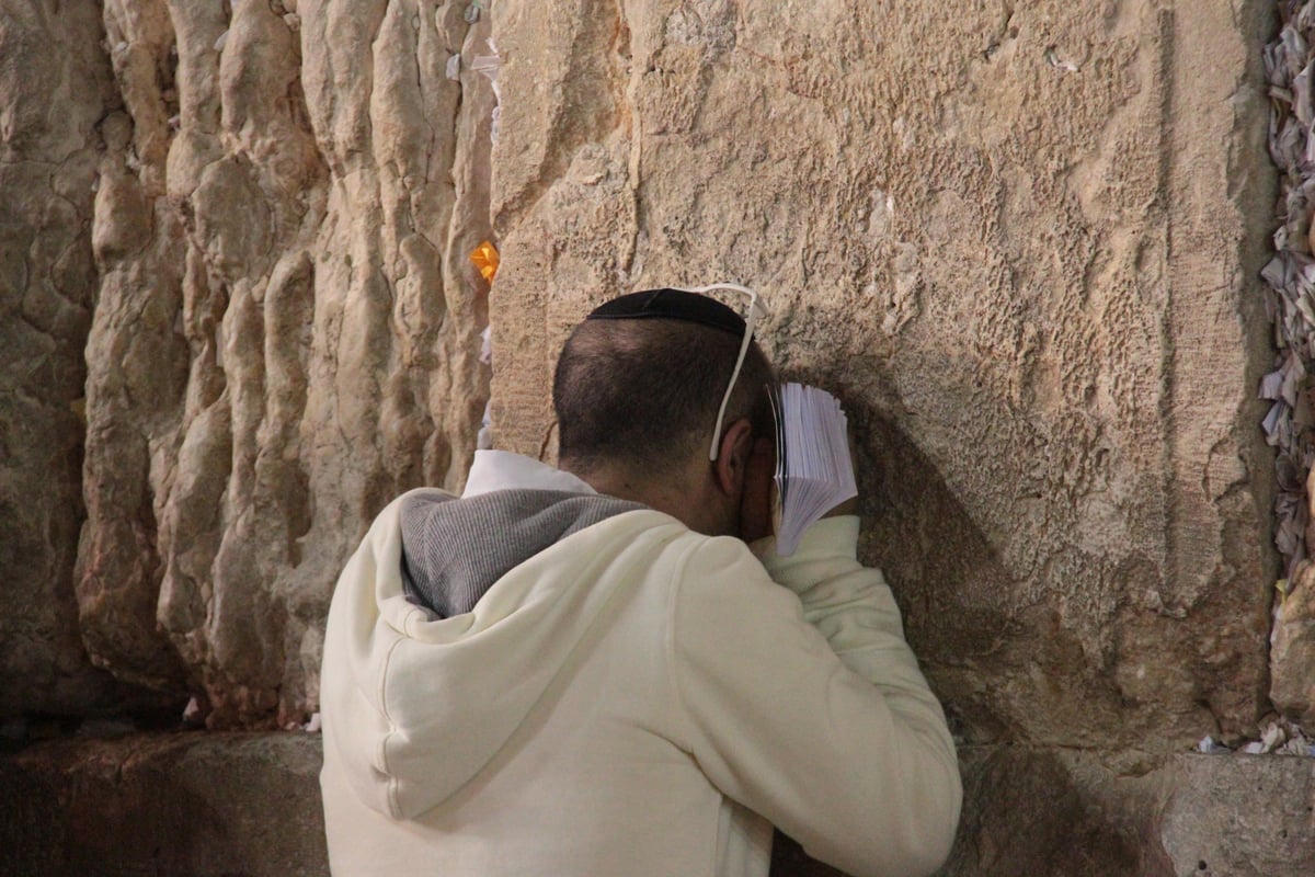 מוצאי חג השבועות בכותל המערבי: מעגל אחד, אלפי רוקדים