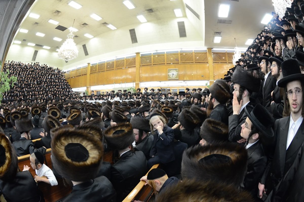 גלריה: אלפים בטיש נעילת החג בסאטמר