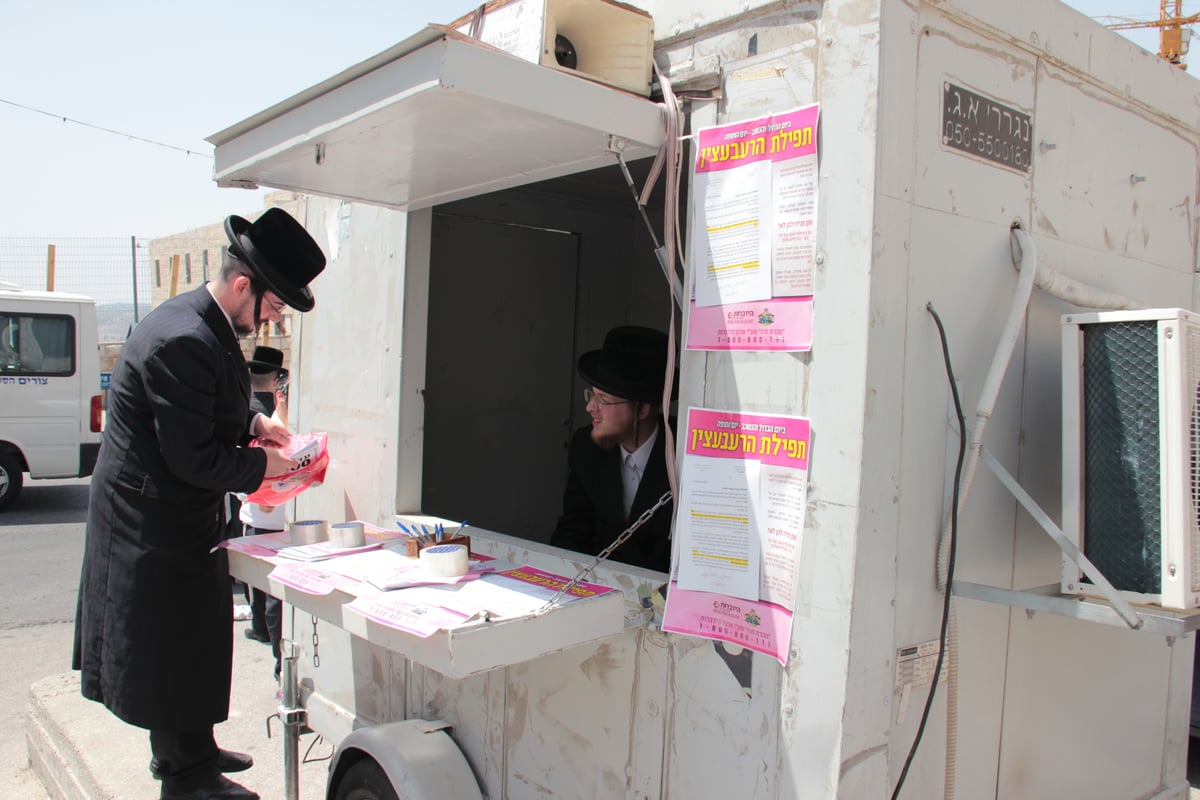 צפו בגלריה: כך נערכת בעלזא לקראת חתונת הענק