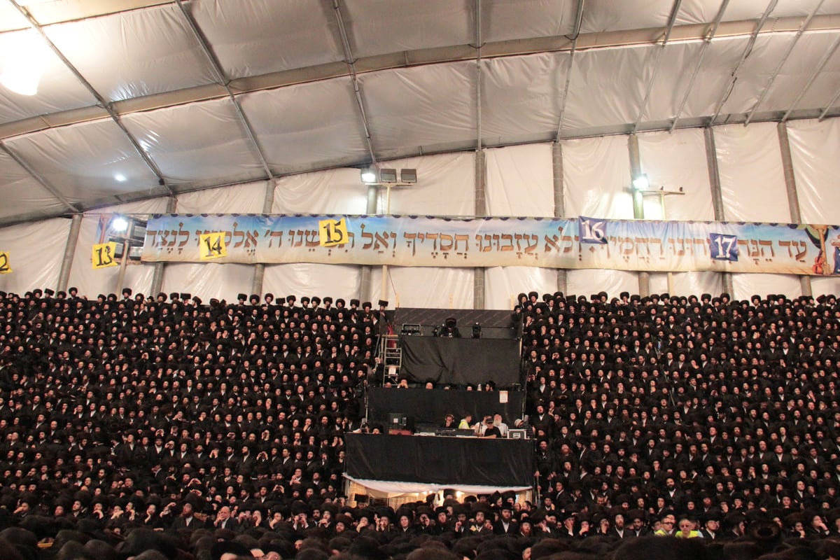 לצד גדולי ישראל: רבבות חגגו עם הנסיך מבעלזא