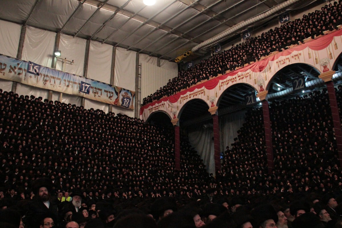 לצד גדולי ישראל: רבבות חגגו עם הנסיך מבעלזא