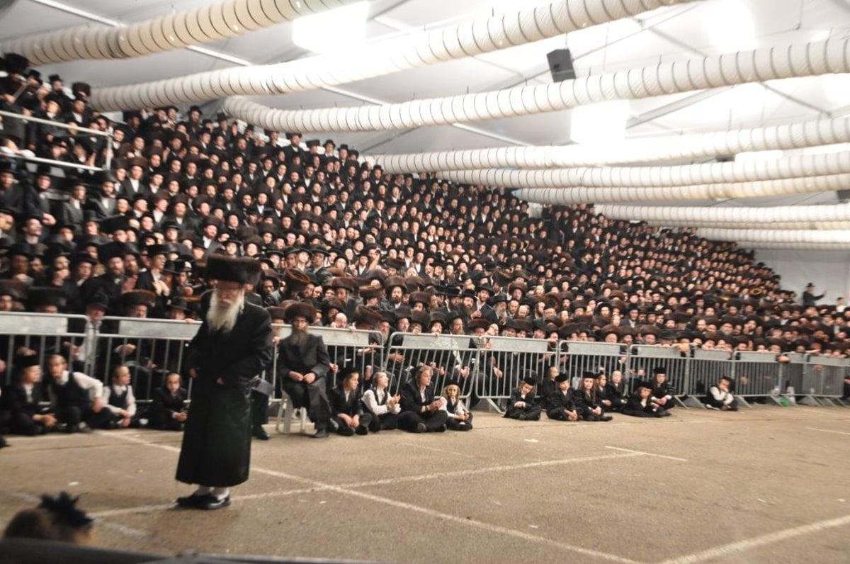 שמחת בית פשווארסק בנישואי בן האדמו"ר • גלריה