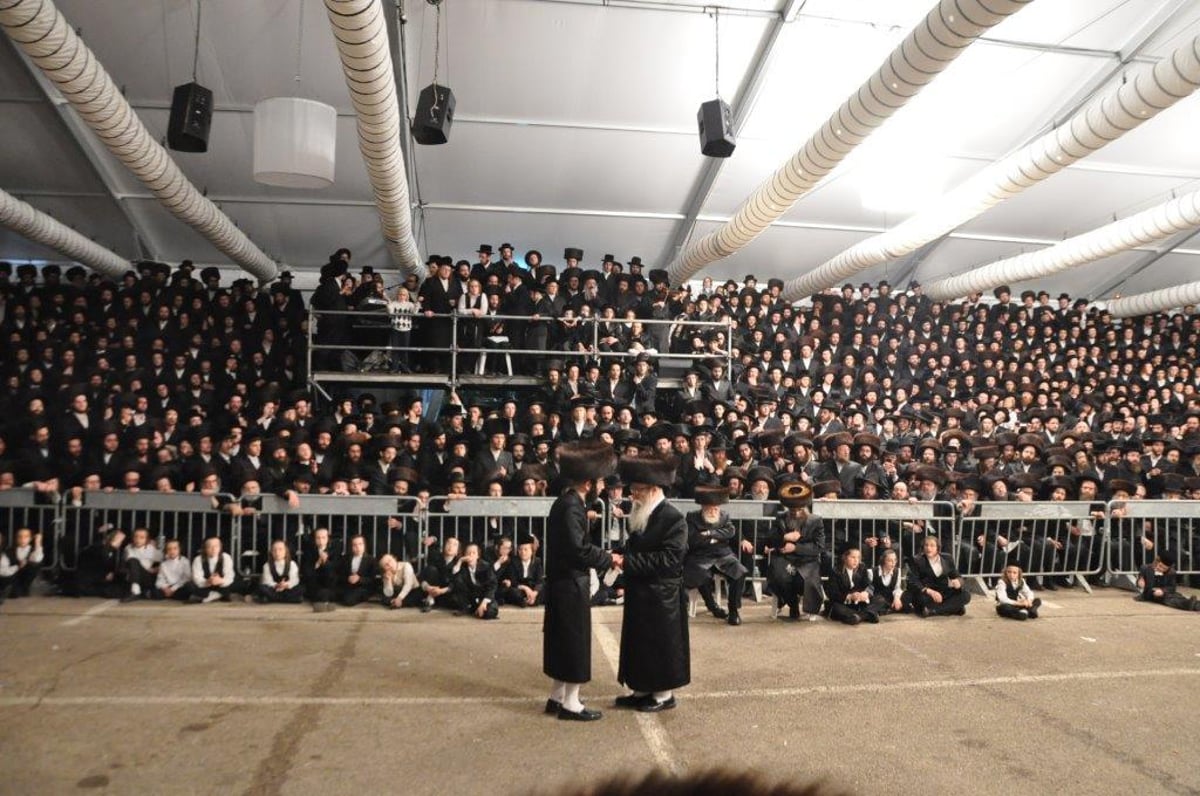 שמחת בית פשווארסק בנישואי בן האדמו"ר • גלריה