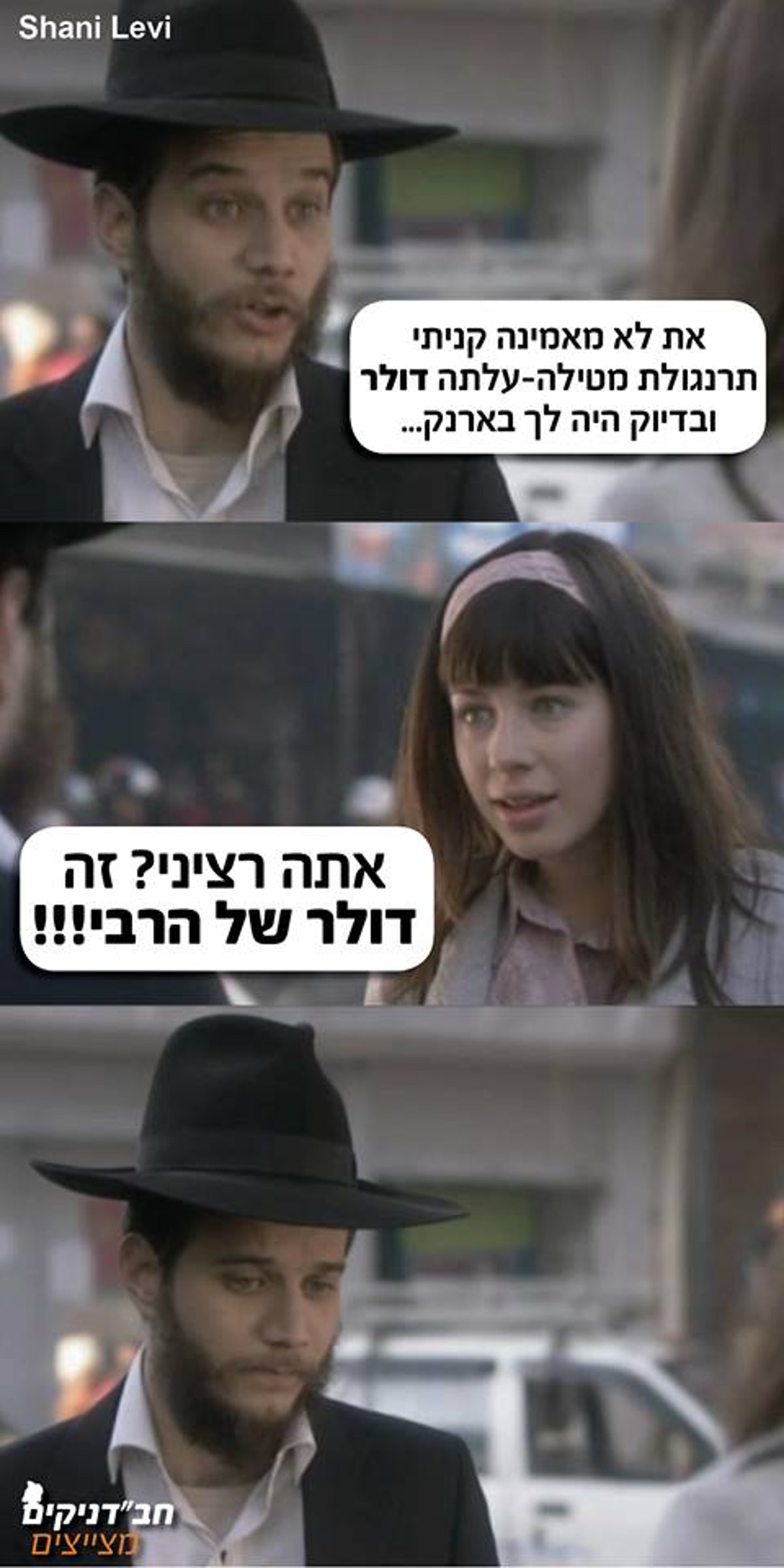 Shani Levi, חבדני"קים מצייצים