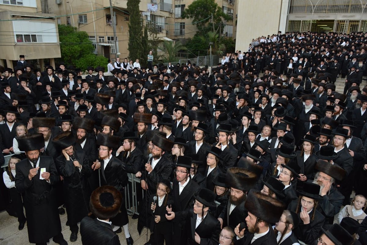 נישואי נכדת הרבי מנדבורנה זצ"ל • גלריה