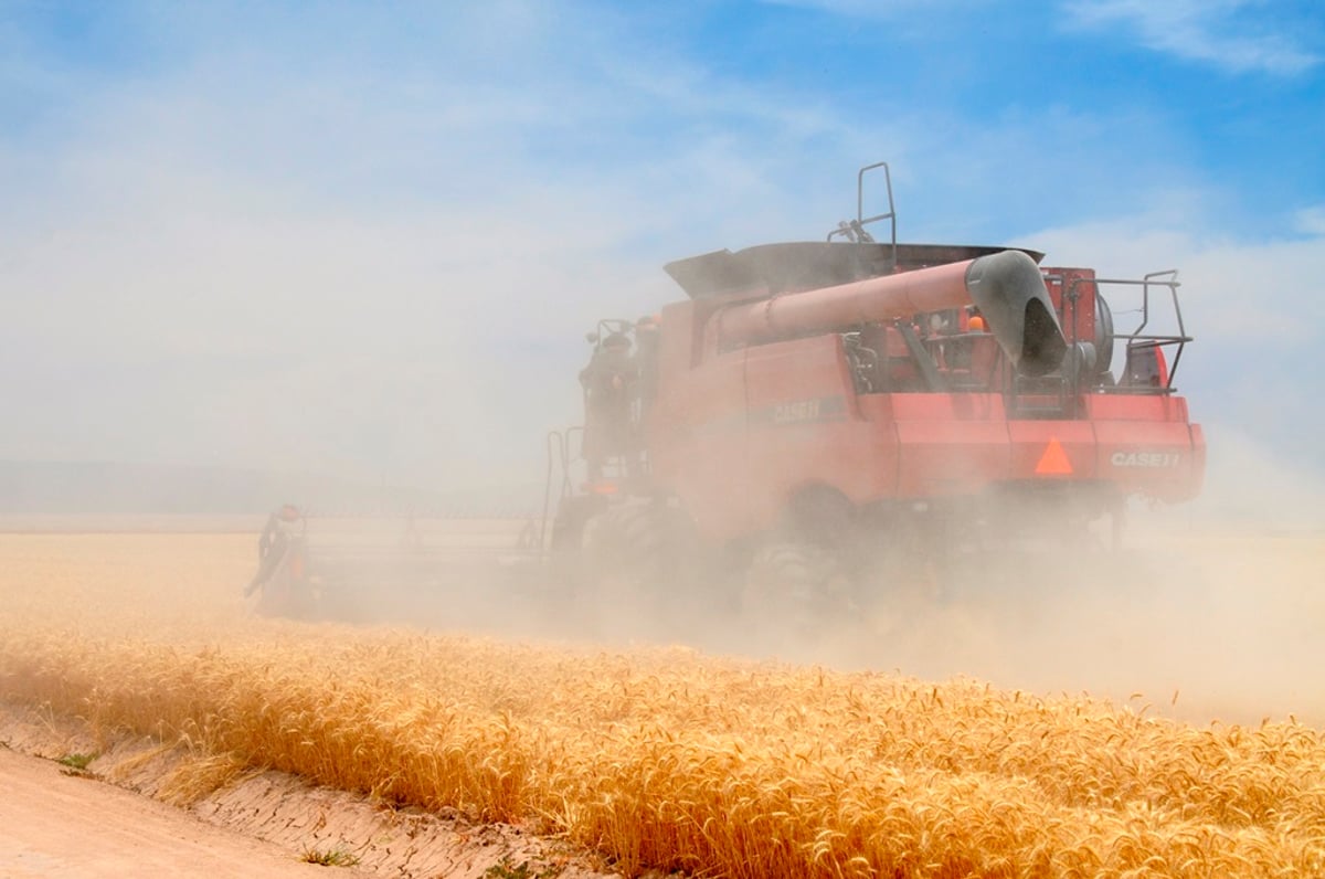 הקציר של הרבי סאטמר: צפו בגלרית ענק מאריזונה