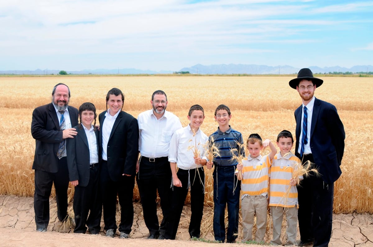 הקציר של הרבי סאטמר: צפו בגלרית ענק מאריזונה