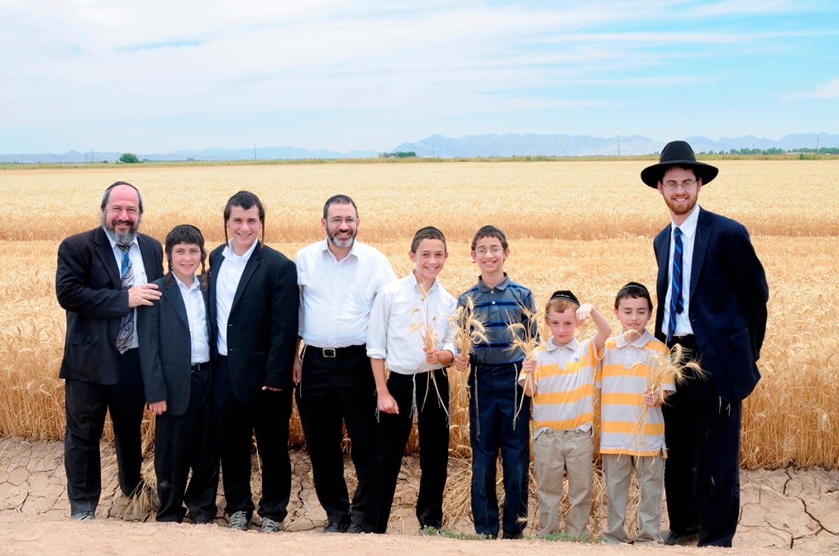 הקציר של הרבי סאטמר: צפו בגלרית ענק מאריזונה