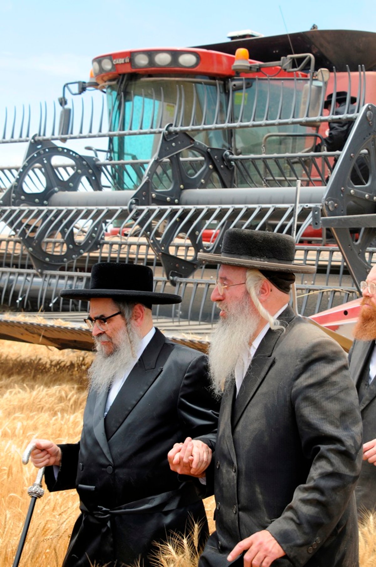 הקציר של הרבי סאטמר: צפו בגלרית ענק מאריזונה