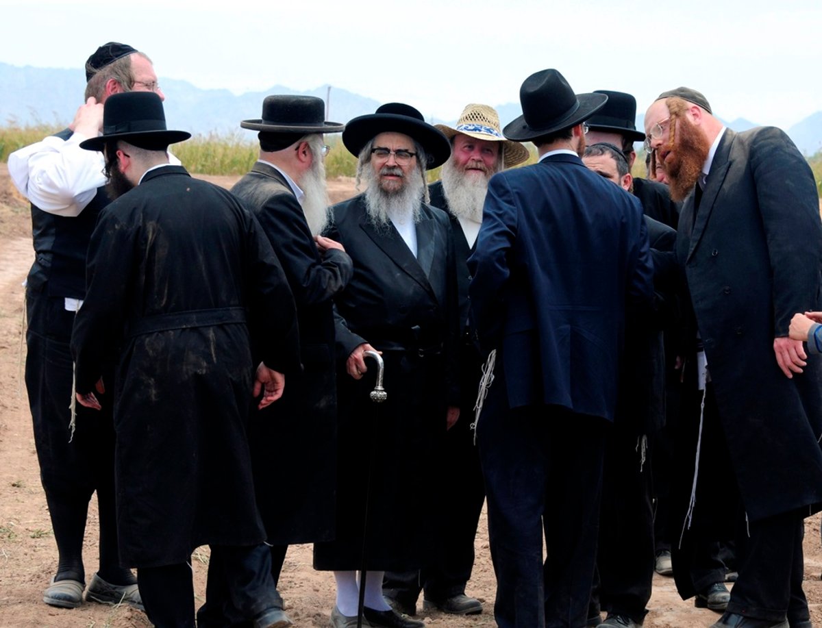 הקציר של הרבי סאטמר: צפו בגלרית ענק מאריזונה