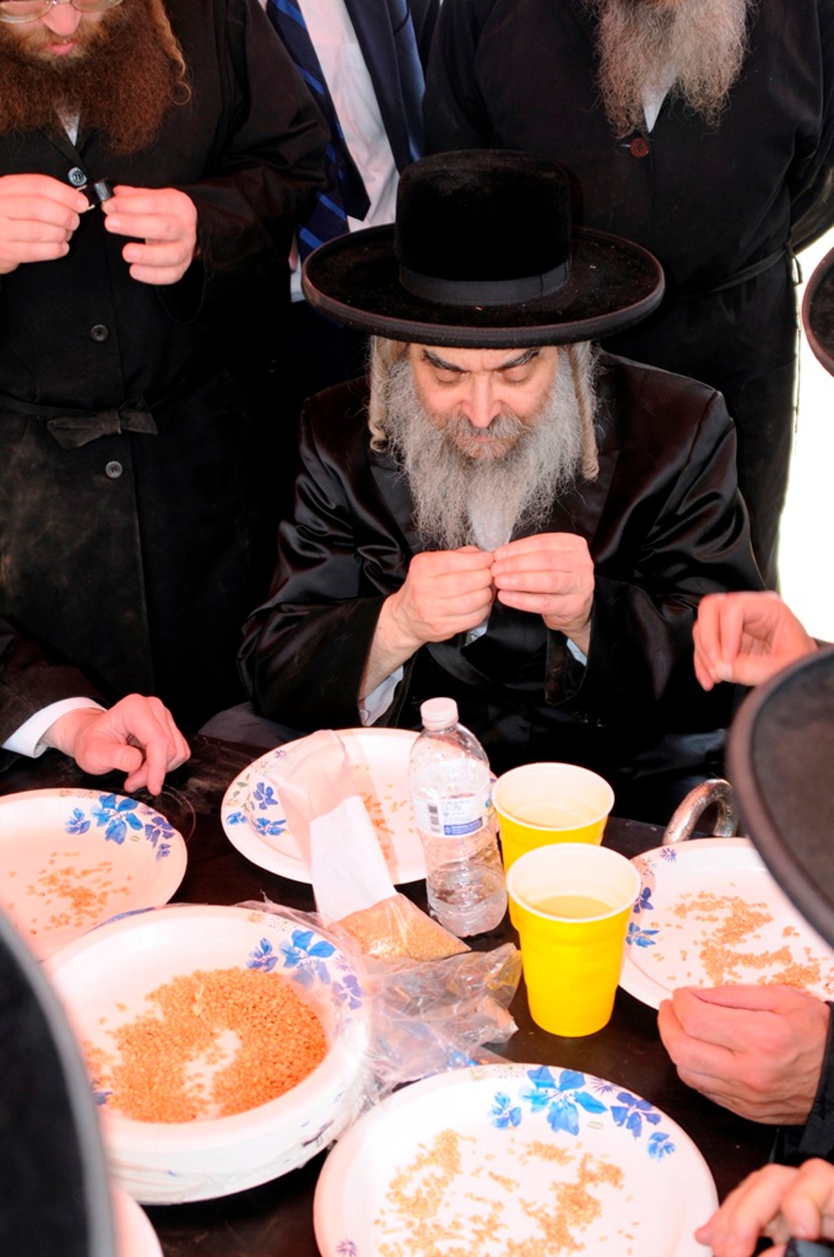 הקציר של הרבי סאטמר: צפו בגלרית ענק מאריזונה