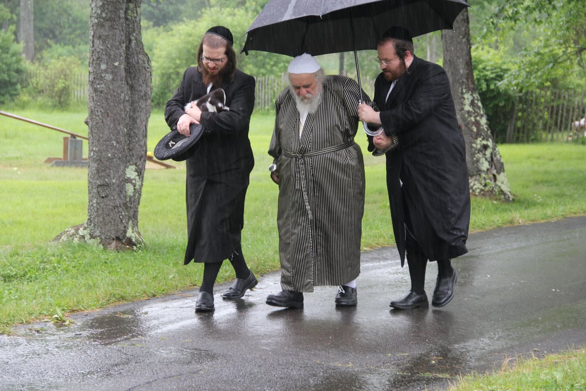 צפו: החרדים בארה"ב בחופשת ה'קאנטרי'