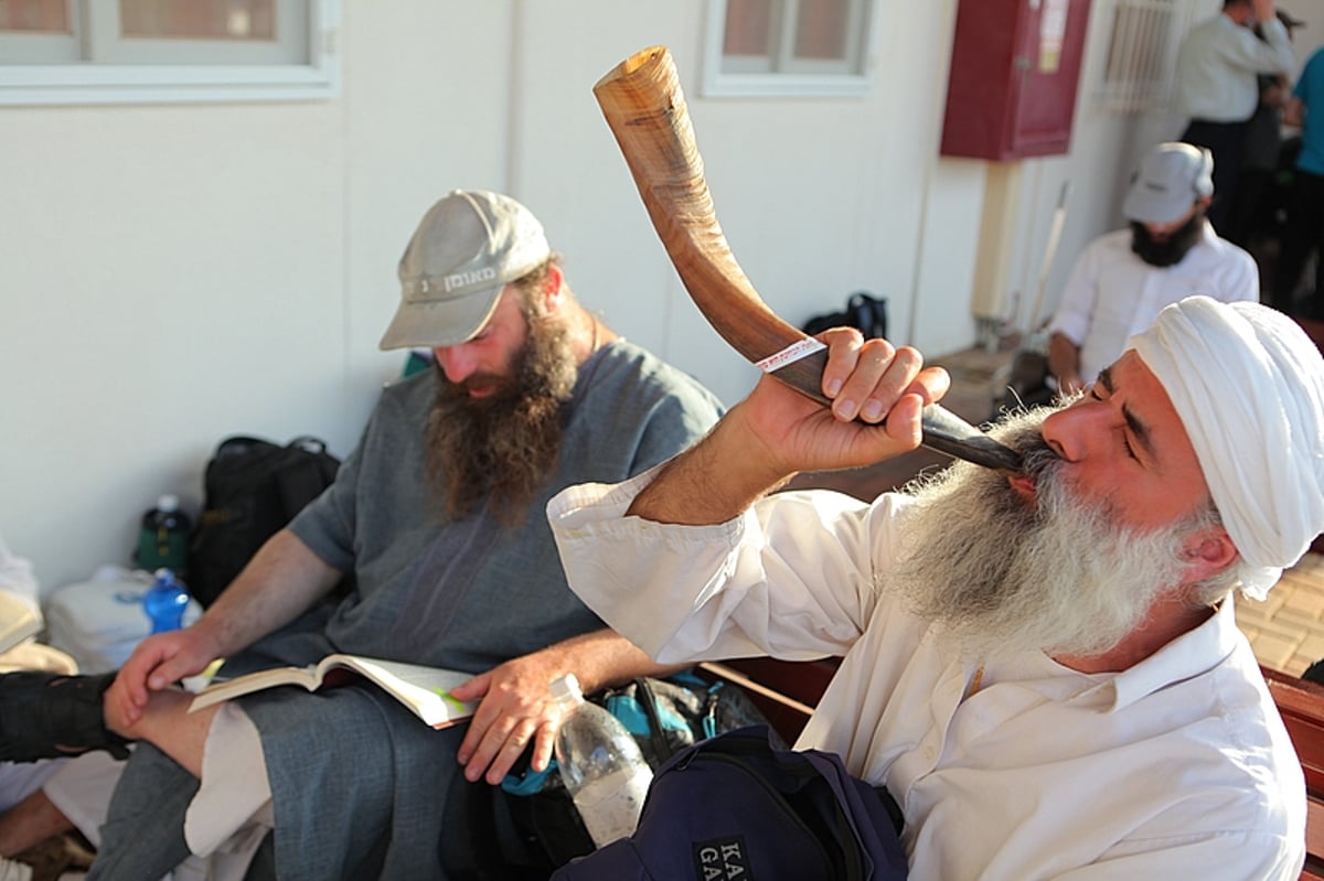 תיעוד ענק: מסע לקברו של אהרן הכהן בירדן