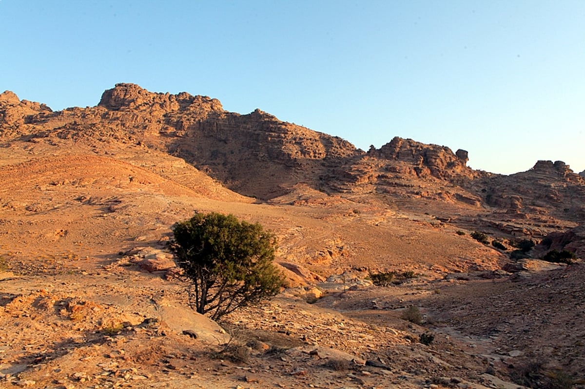 תיעוד ענק: מסע לקברו של אהרן הכהן בירדן