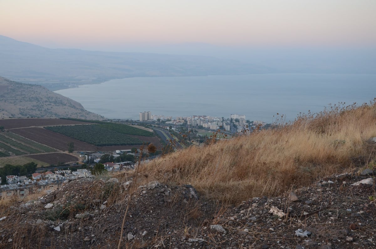 גלריה:  האדמו"ר מצאנז  בטבריה