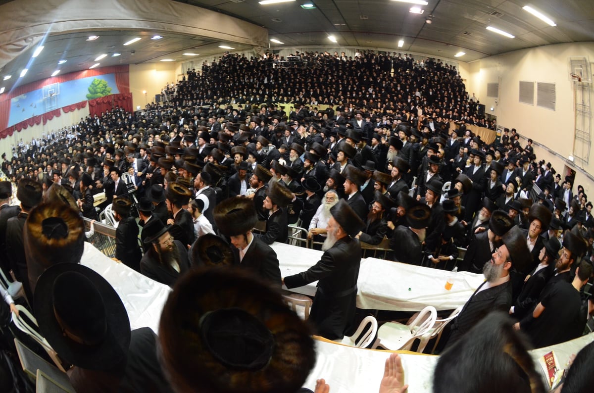 שעות לפני הטרגדיה: שמחת בית דז'יקוב • גלריה