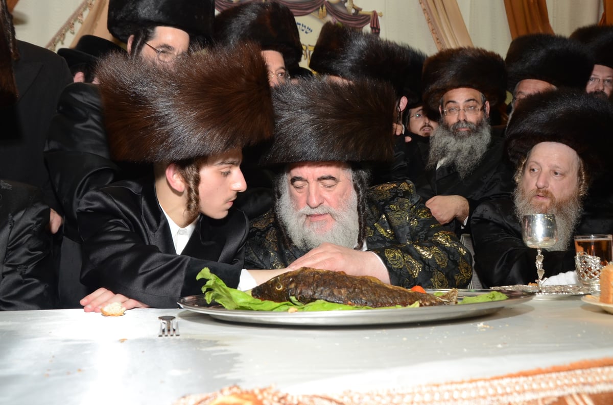 שעות לפני הטרגדיה: שמחת בית דז'יקוב • גלריה