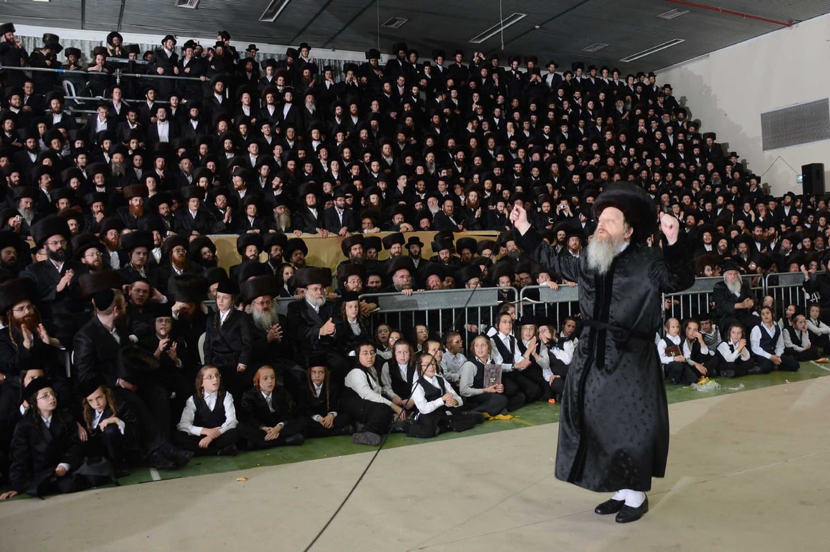 מצווה טאנץ בדז'יקוב • גלריה שניה