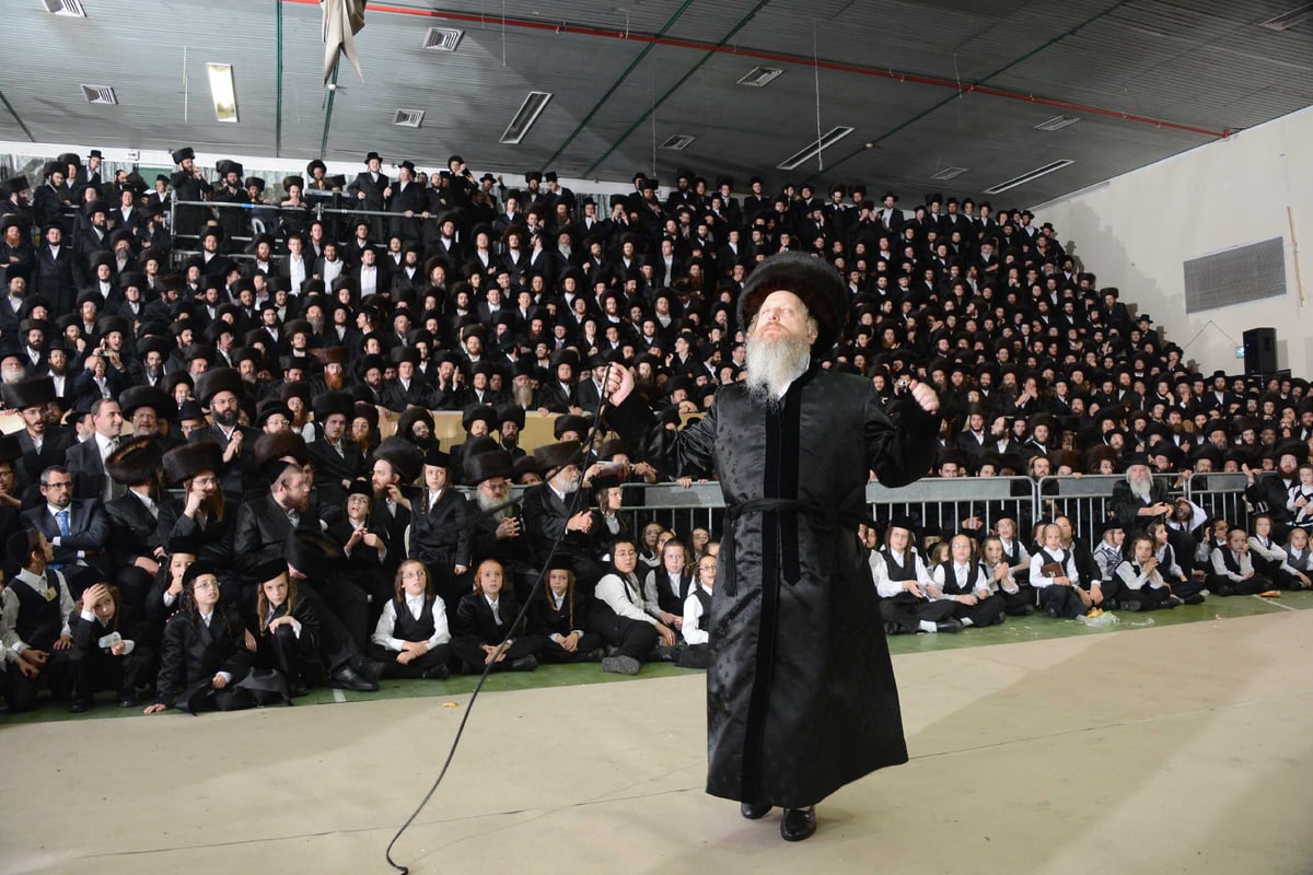 מצווה טאנץ בדז'יקוב • גלריה שניה