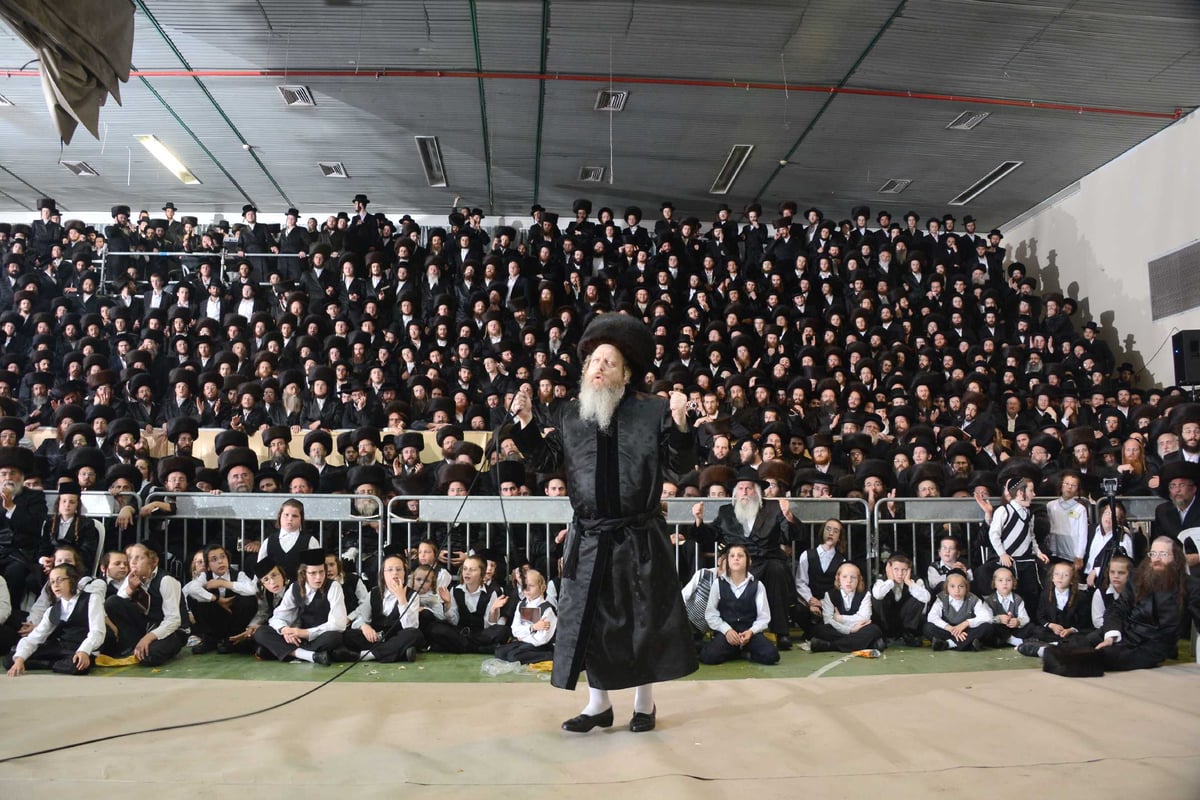 מצווה טאנץ בדז'יקוב • גלריה שניה