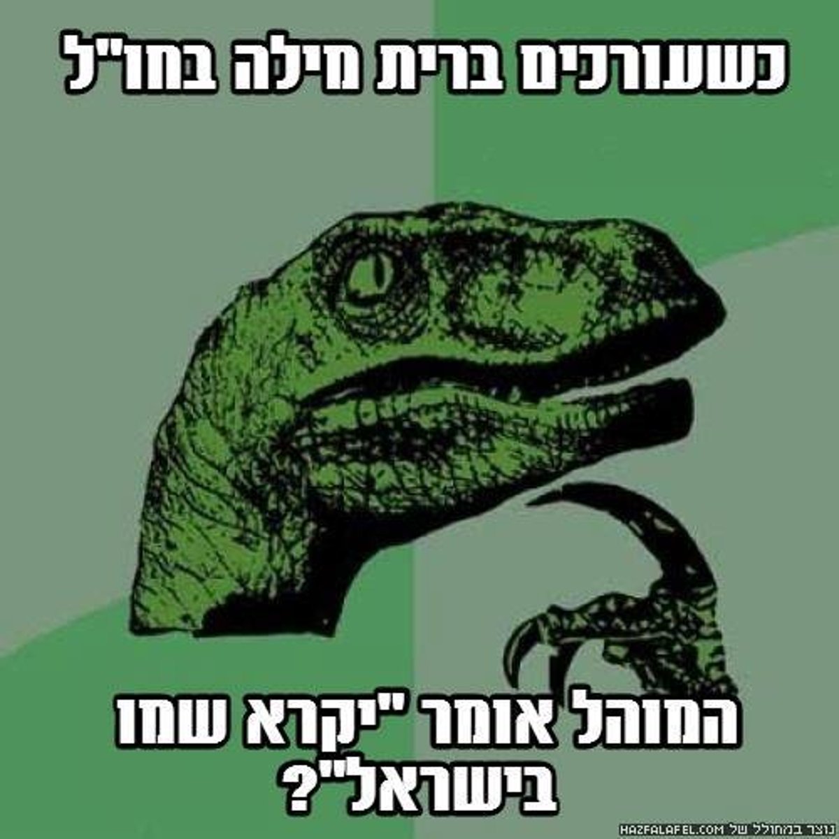 השבוע ברשת: נתניהו עובר מ'רופא חולים' ל'מתיר אסורים'