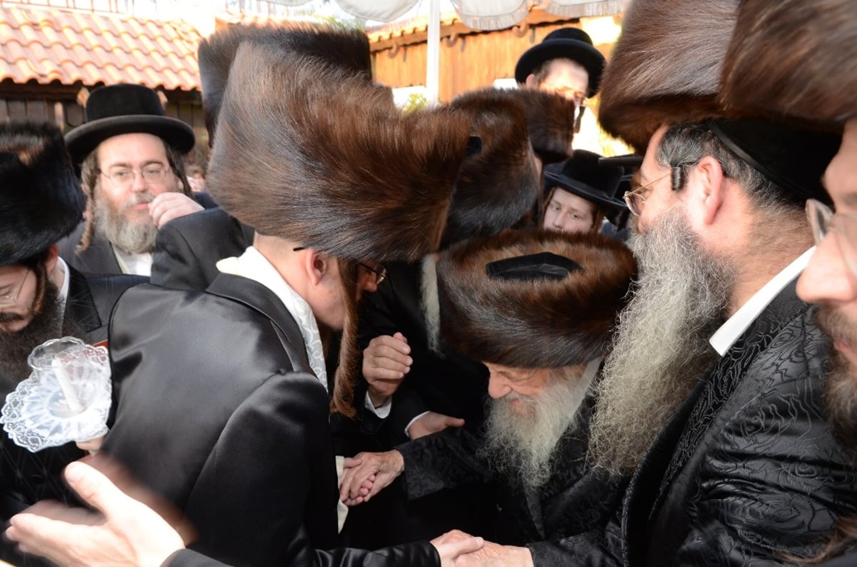 שמחת נישואי נינת הגר"ש וואזנר • גלריה