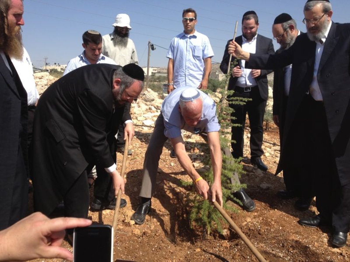 מקצץ בנטיעות. אורי אריאל ומאיר רובינשטיין בביתר עילית, השבוע