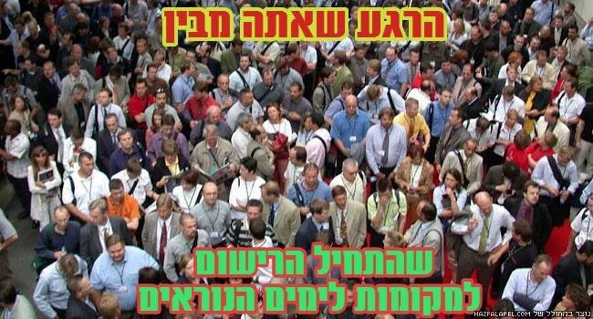 השבוע ברשת: וואטסאפ בגרסת גלאט, וגפילטע פיש