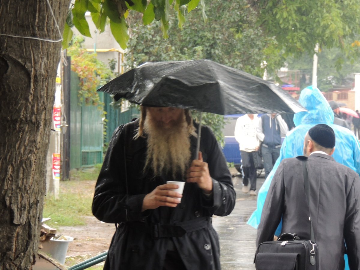 בישראל חם, באומן גשום • גלרית ענק