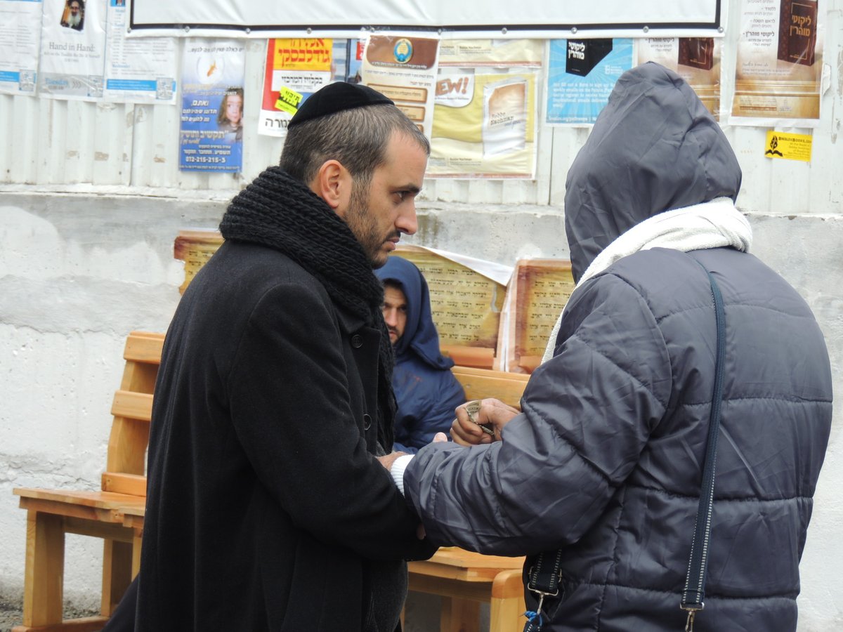 עושים שוק באומן • גלריה