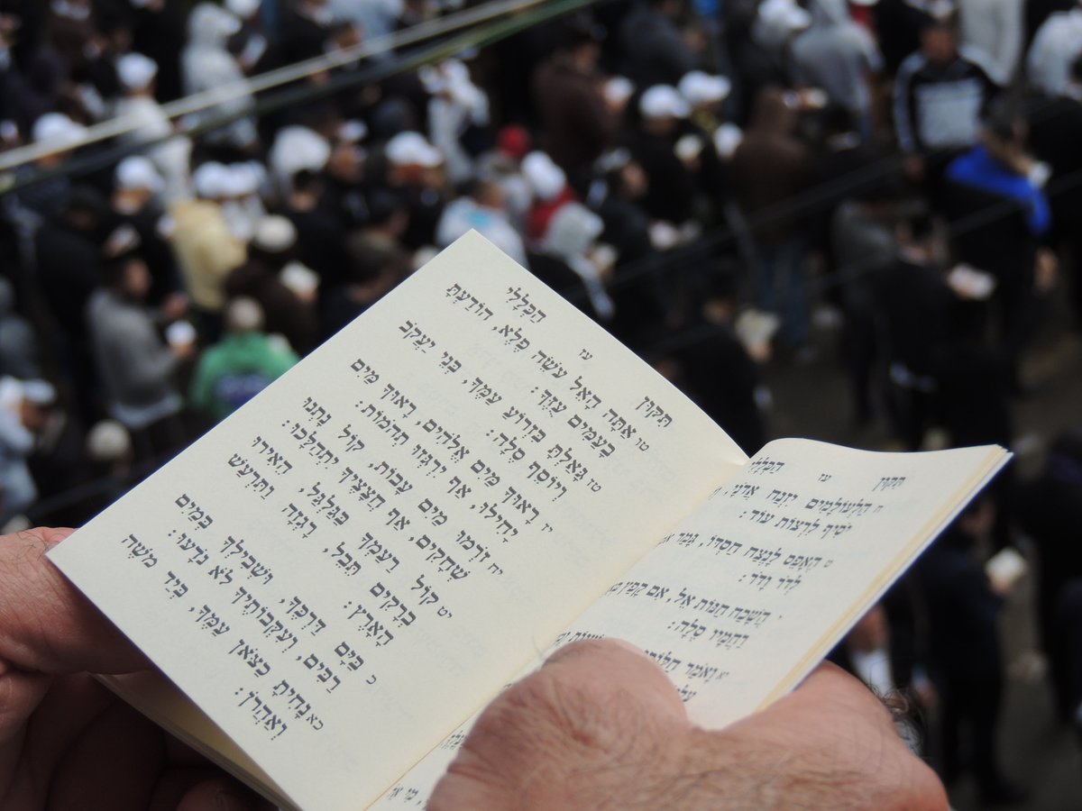 ערב ר"ה: אמירת 'התיקון הכללי' באומן • גלריה