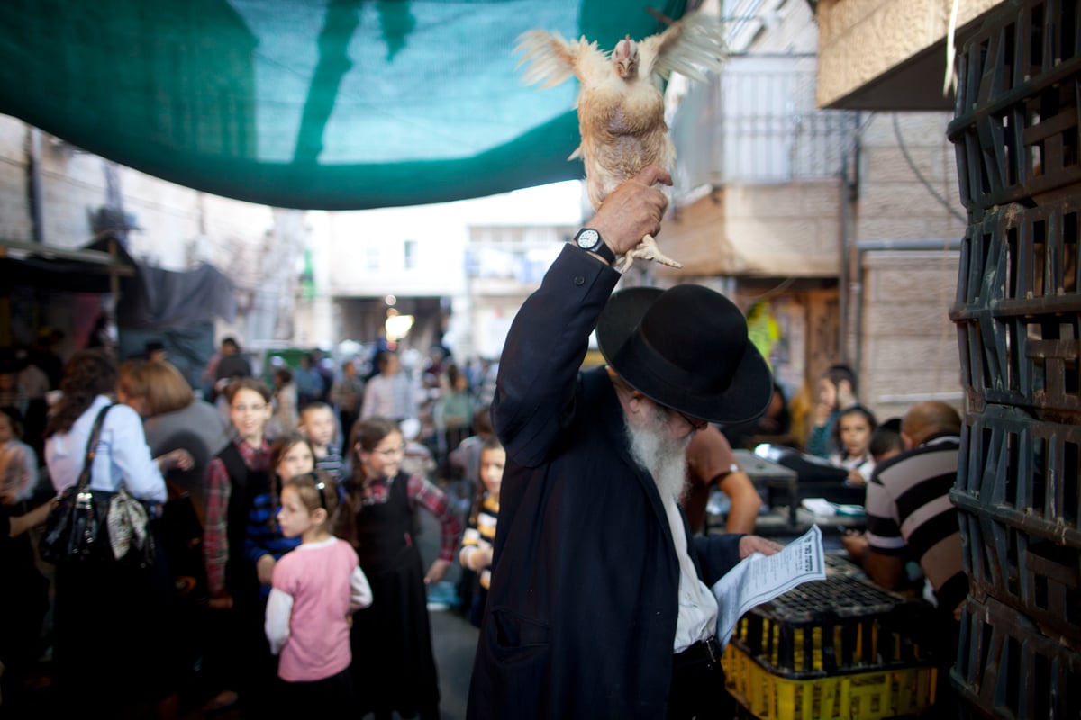 זֶה הַתַּרְנְגוֹל יֵלֵךְ לְמִיתָה: "כפרות" במאה שערים • גלריה