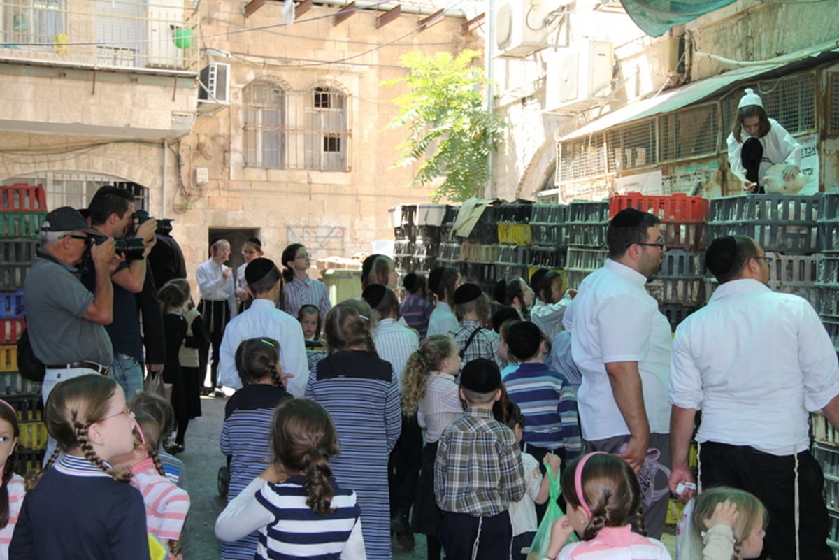תיעוד ענק: מהכפרות עד השחיטה