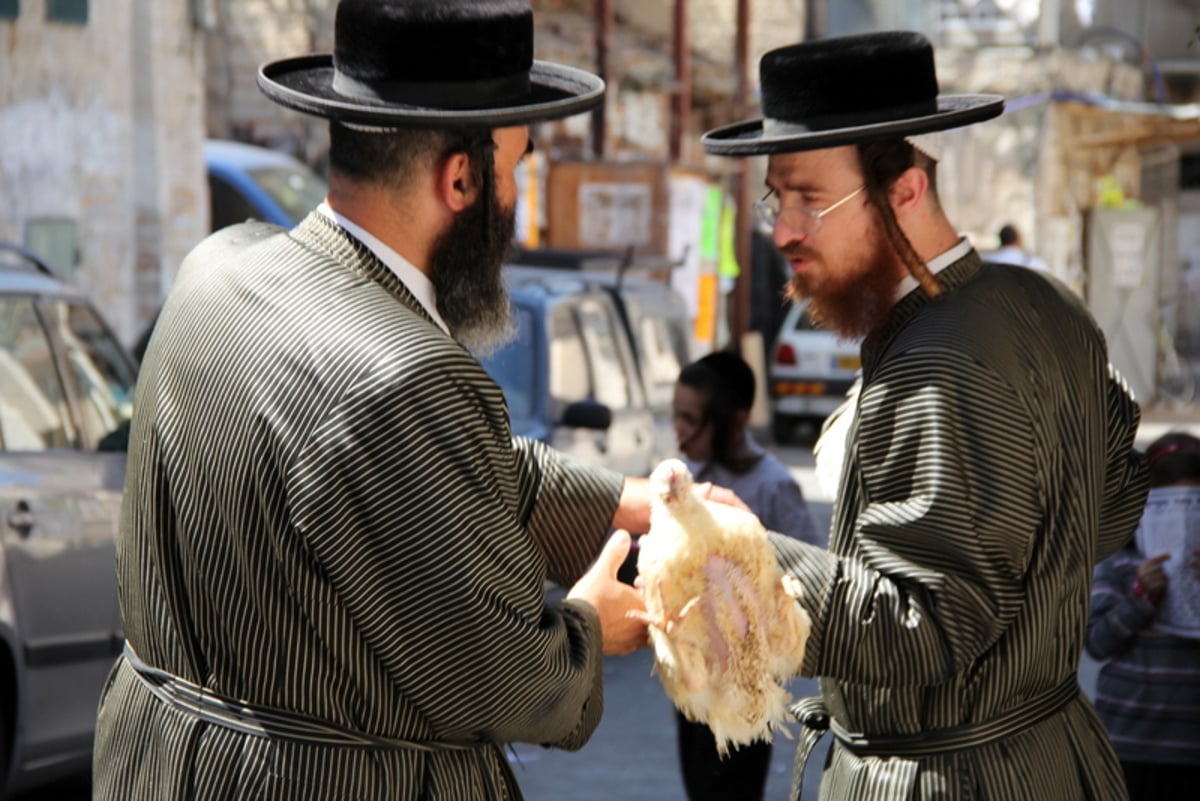 תיעוד ענק: מהכפרות עד השחיטה