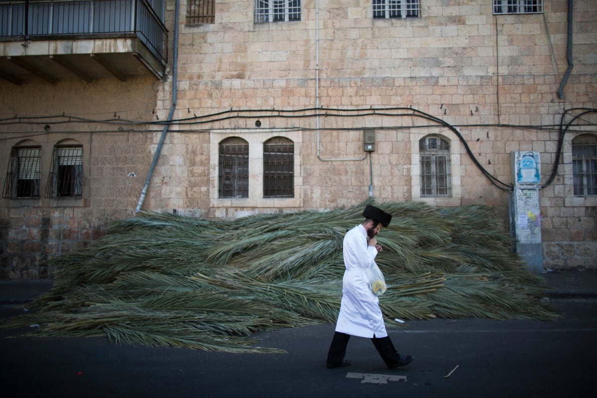 צפו בגלריה: לבושים לבן ומקבלים 40 מלקות