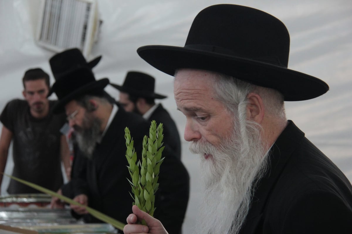 ערב סוכות: גלריה תוססת משוק ארבעת המינים בירושלים