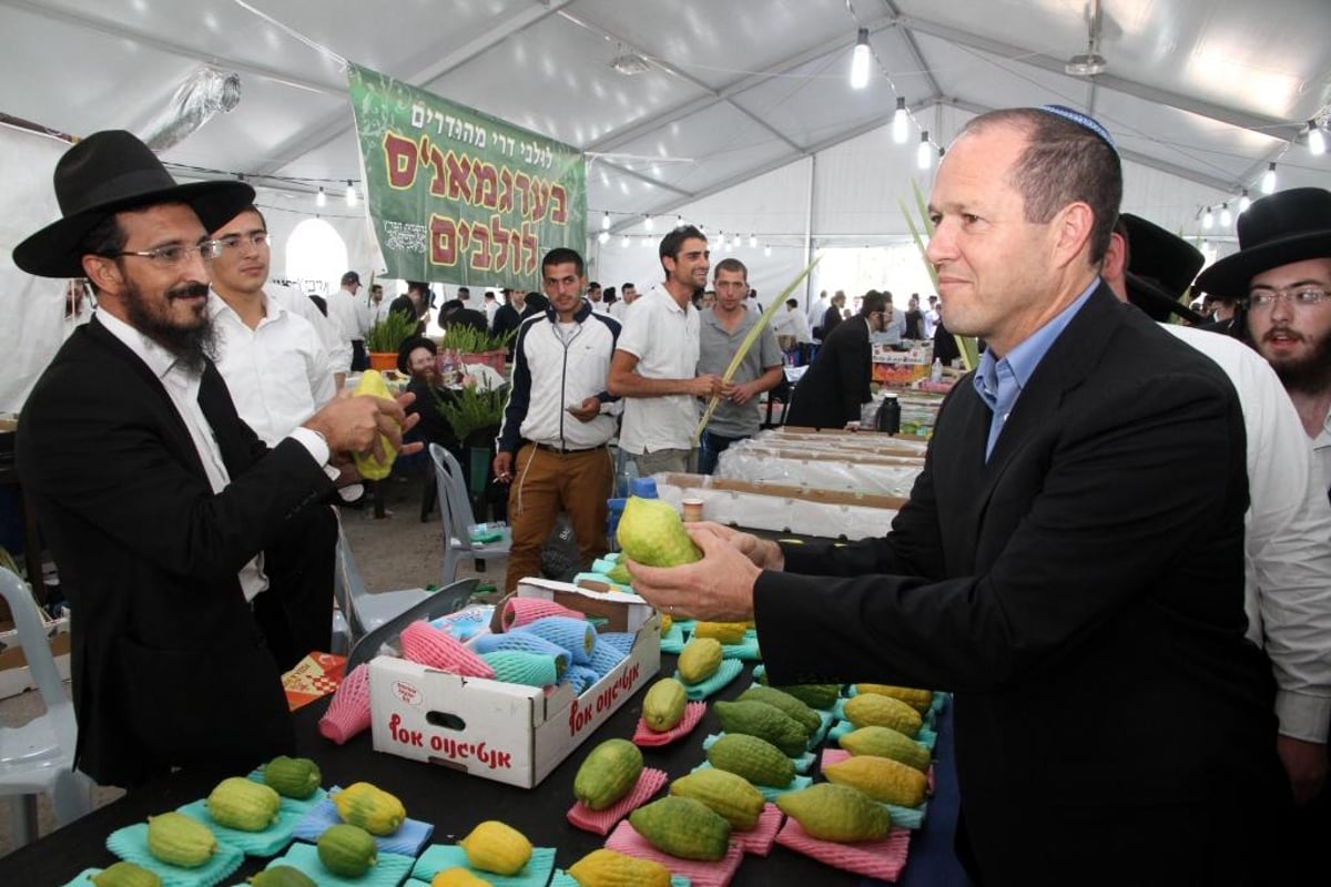 גלריה: ניר ברקת בשוק ארבעת המינים