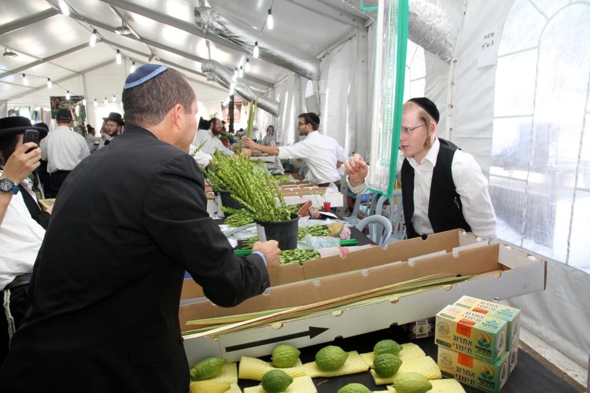 גלריה: ניר ברקת בשוק ארבעת המינים