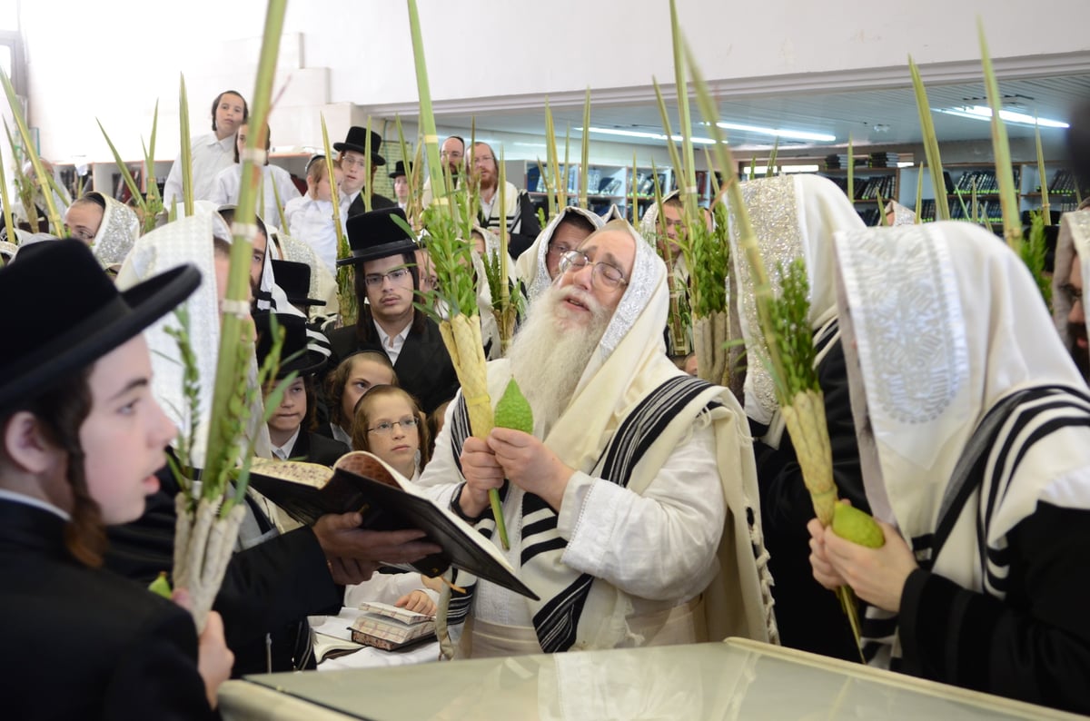 הקפות בהושענה רבה