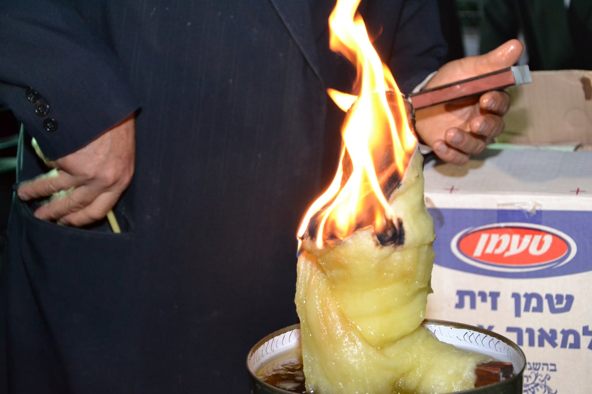 גלריה: אלפים בהילולת שמעון הצדיק