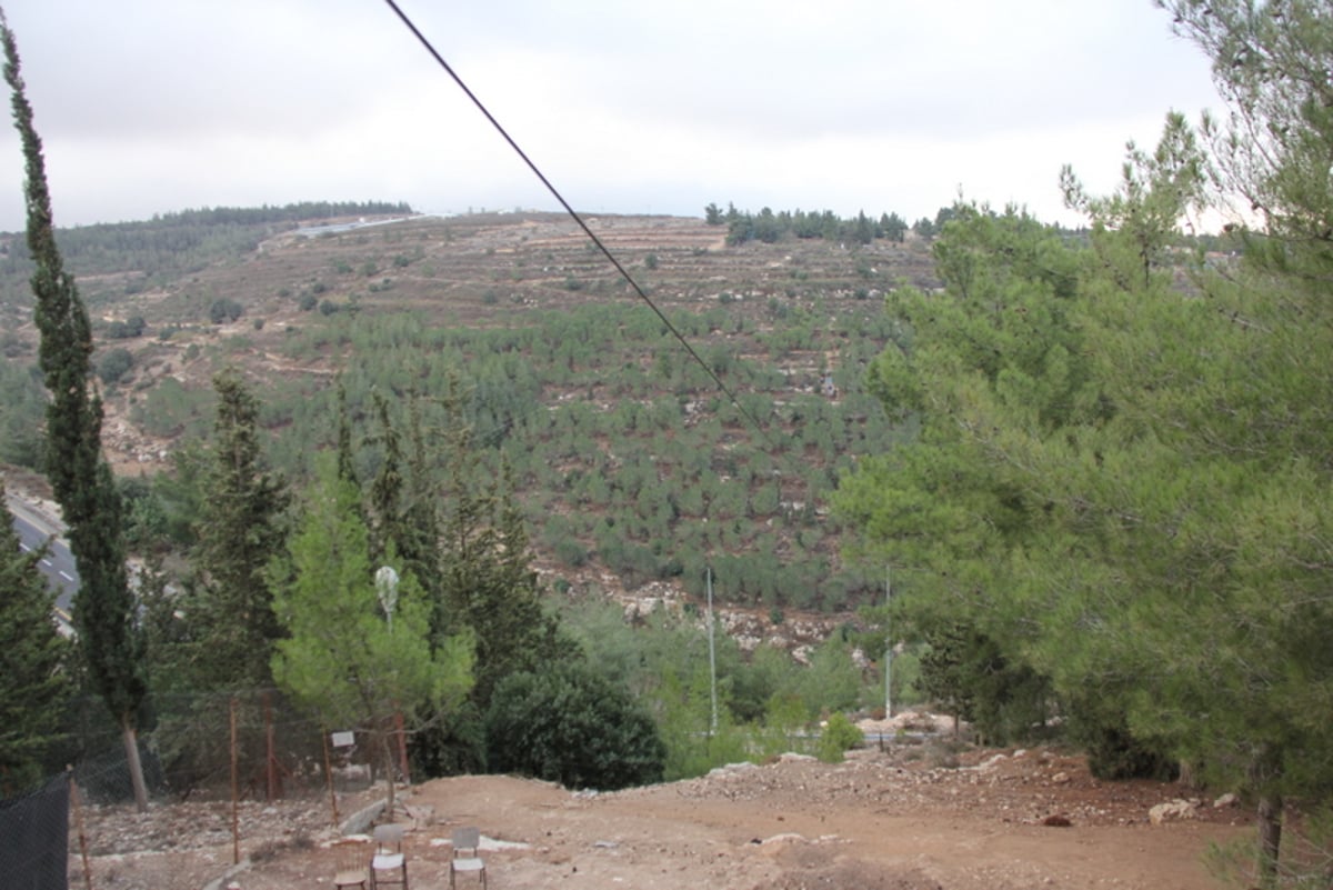 בין שמיים לארץ: דרעי גולש באומגה