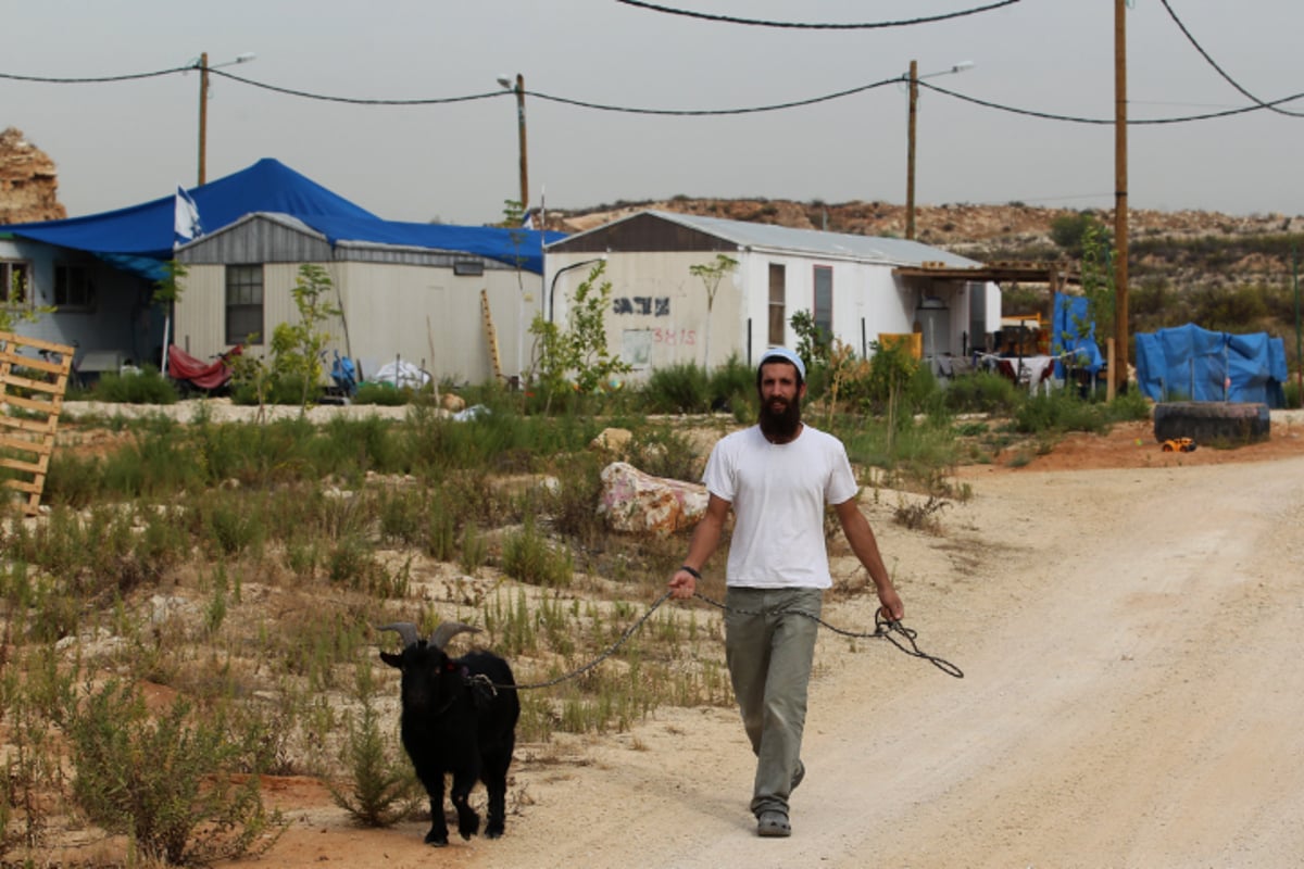 התנחלות