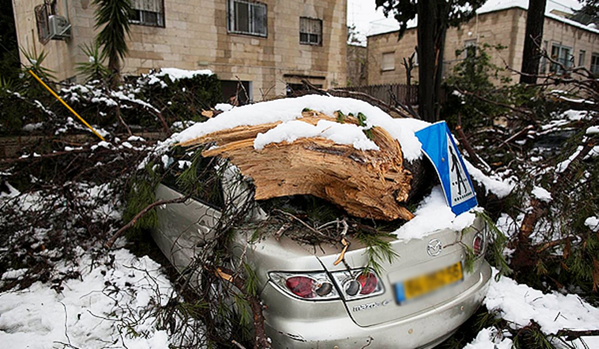 מנזקי הסערה