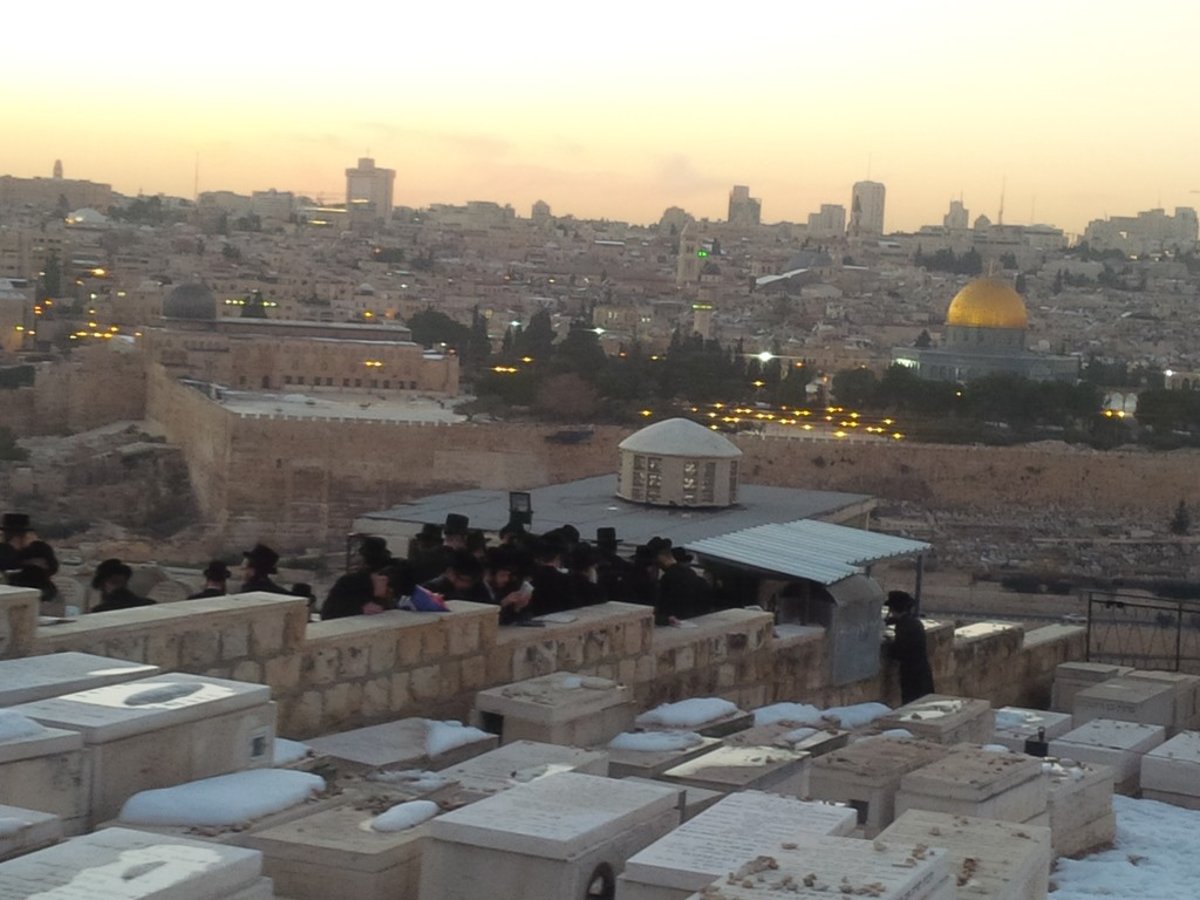 יארצייט בנדבורנה: האחים האדמו"רים עלו להר הזיתים • גלריה