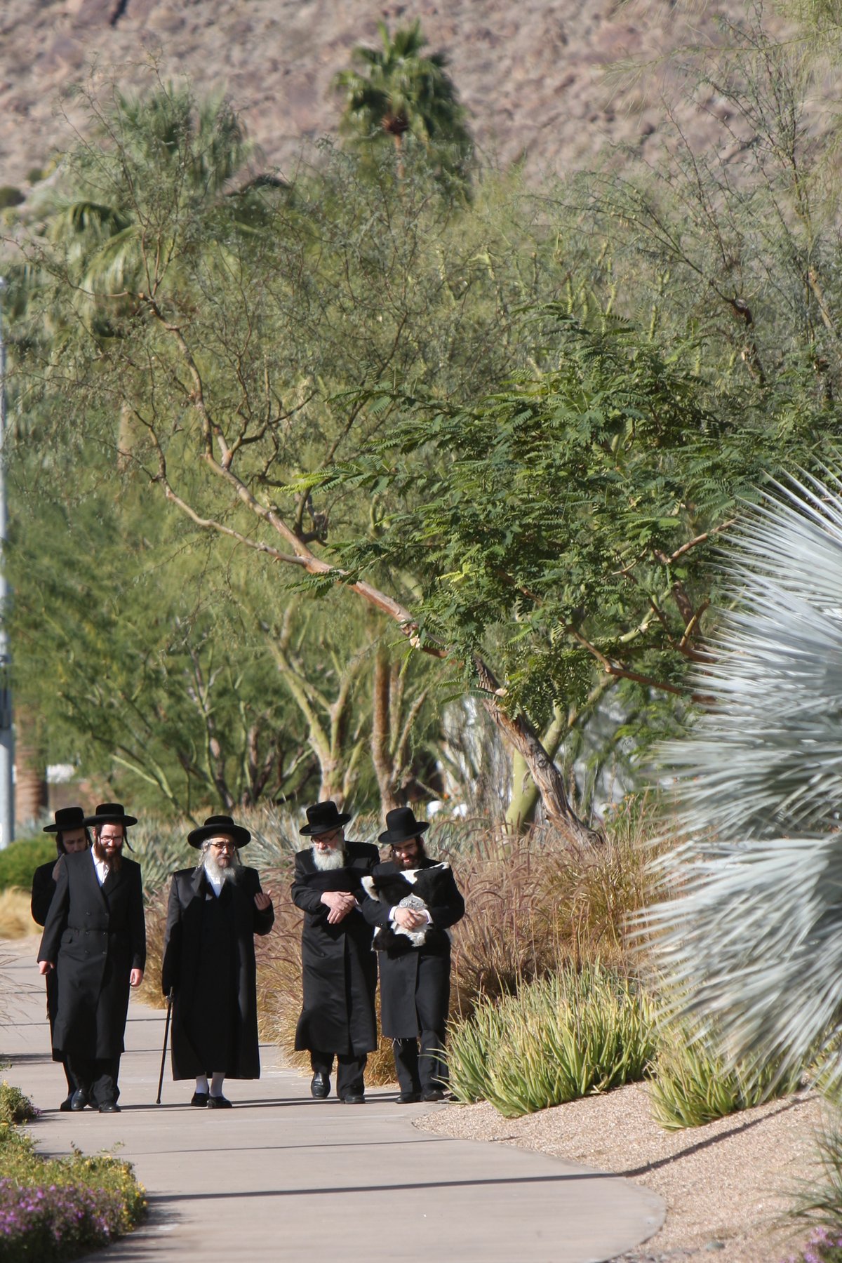 תמונות: האדמו"ר מסאטמר נופש בקליפוורניה