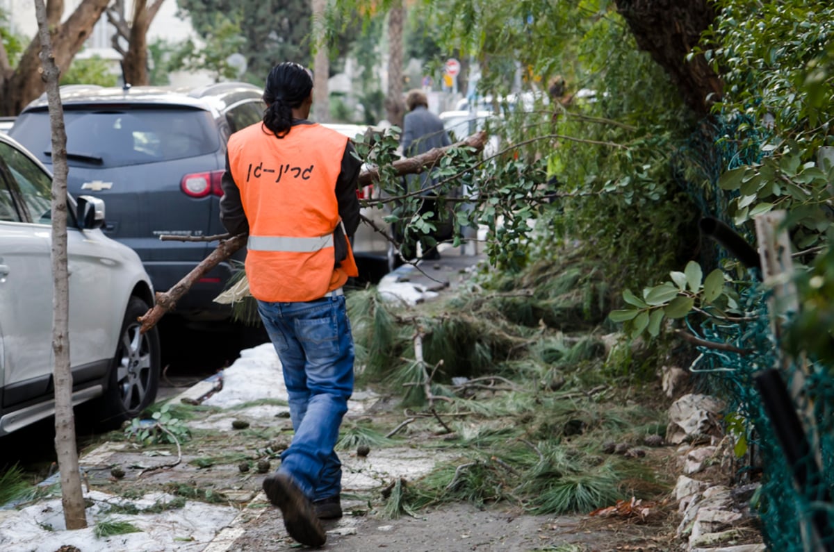 המבצע של עיריית ירושלים: איסוף שברי עצים מהסופה